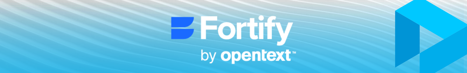 Fortify Seminář