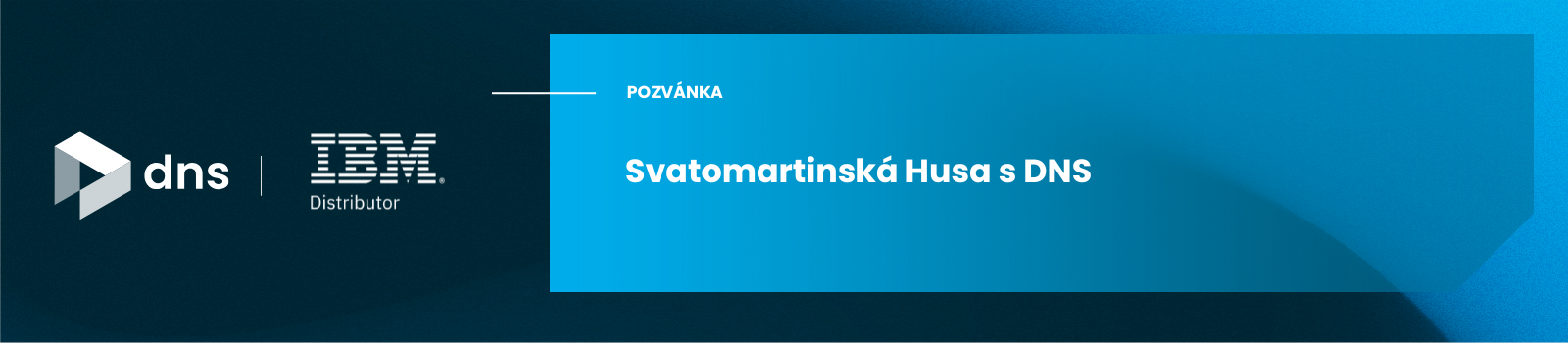 Svatomartinská husa s DNS