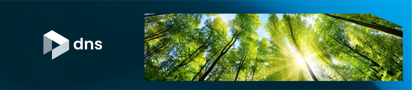 Sázíme stromy v Líbeznicích