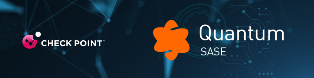 Quantum SASE: Perimeter 81